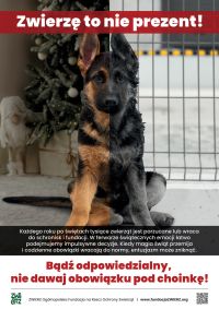 zwierze-to-nie-prezent-plakat-A4-DRUK_1