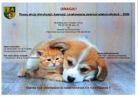 plakat (2)_1