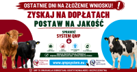 QMP baner close kampania 2026