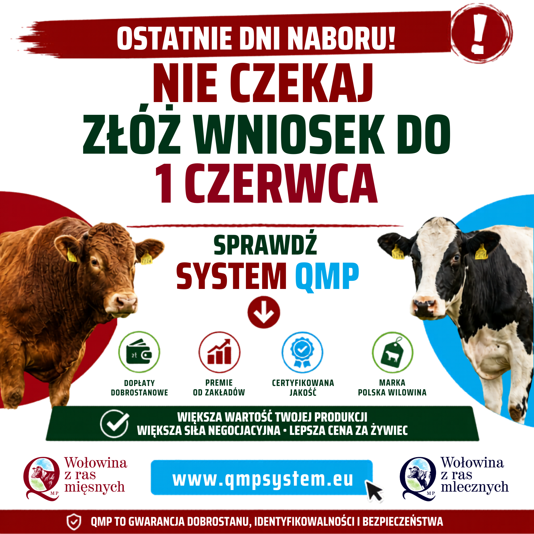 "Przedłużenie terminu składania wniosków o dodatkowe pieniądze dla hodowców z QMP do 1 czerwca 2026 roku"